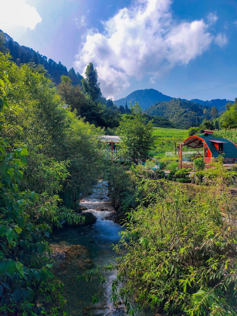 Zostel Plus Mussoorie (Kempty) - Zostel Plus Mussoorie (Kempty) Zostel Plus Banglow Ki Kandi, Charleville, Dehradun, Mussorie Range, Uttarakhand 248179, India
