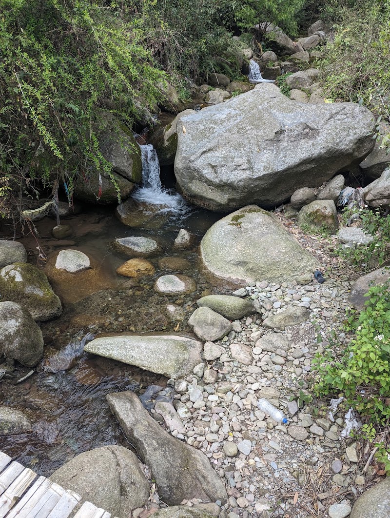 Dhouladhar Tea Garden - Dhouladhar Tea Garden, 682X+2HM, Dharamsala Rd, Dari, Gabli Dar, Hodal, Himachal Pradesh 176215, India