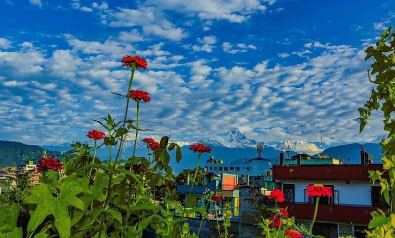 Hotel The Lake - Hotel The Lake, Street no 2A Street no 3 from back side, Pokhara 33700, Nepal