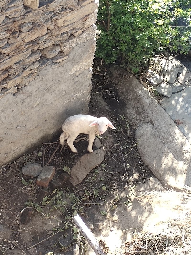Gunehar Road - Gunehar Road, Gunehar Rd, Bir, Himachal Pradesh 176077, India