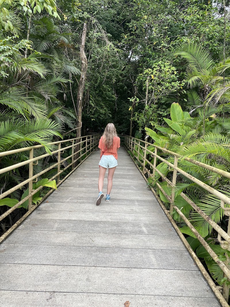 Manuel Antonio Nature Tours - Manuel Antonio Nature Tours, 50m NO de la entrada al PN Manuel Antonio, Provincia de Puntarenas, Manuel Antonio, 60601, Costa Rica