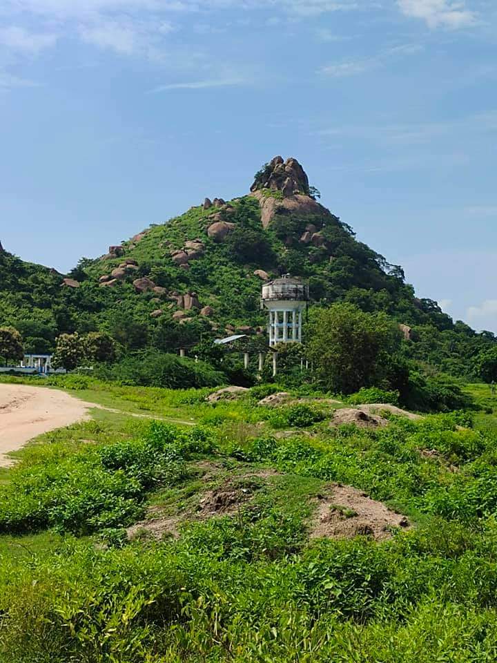 Gandhamardhan hills - Gandhamardhan hills, Odisha 768039, India