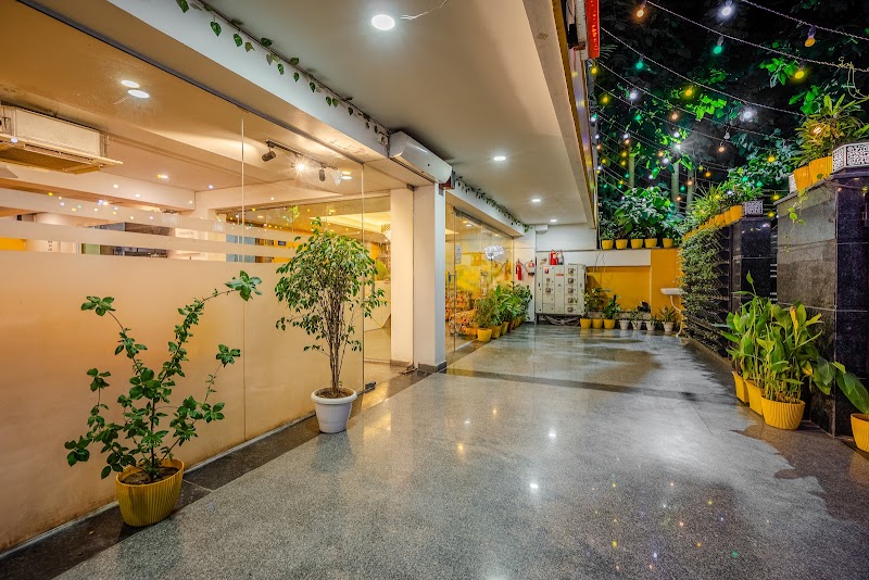 Lime Tree Luxury Studio Serviced Apartments and Restaurant in Gurgaon - Lime Tree Luxury Studio Serviced Apartments and Restaurant in Gurgaon 966P, Near Artemis Hospital, Sector 51 Rd, Sector 51, Gurugram, Haryana 122018, India