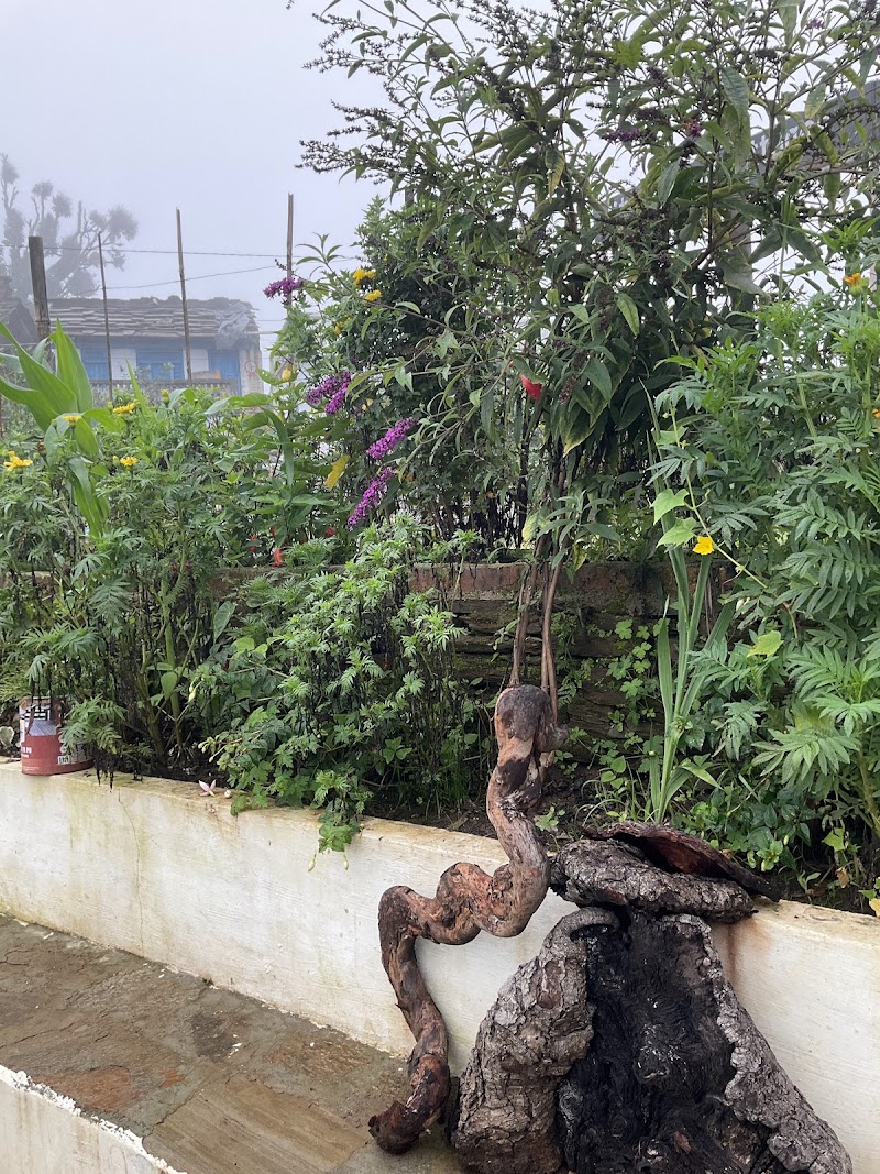 Aranya Nature Retreat - Aranya Nature Retreat MR2J+9J2, Kwite, Uttarakhand 263623, India