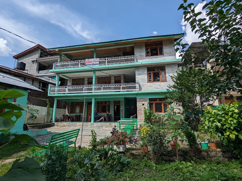 Apple View Old Manali