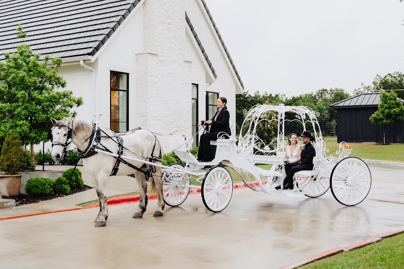 White Horse and Carriage Company - White Horse and Carriage Company Box 5089, San Antonio, TX 78201, USA
