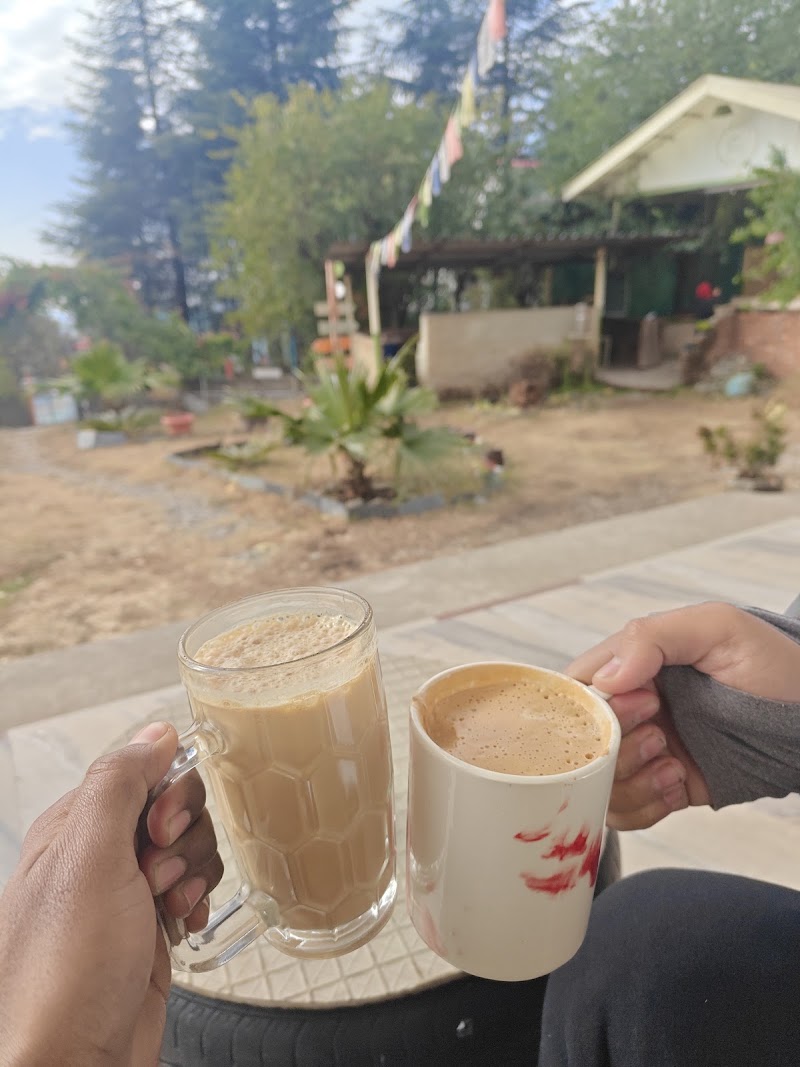 OG Cafe - Olive Green Cafe - OG Cafe - Olive Green Cafe, The Bunker, Bir-Billing Rd, Bir, Kotli, Himachal Pradesh 176077, India
