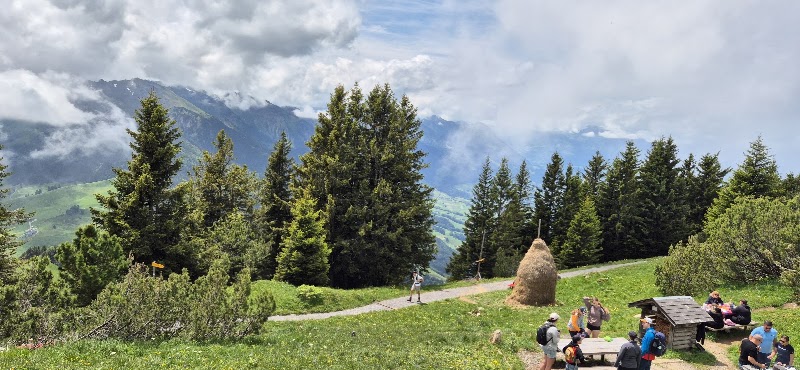 Adlerfluh (Eagle's Cliff) - Adlerfluh (Eagle's Cliff) Stansstaderstrasse 19, 6370 Stans, Switzerland