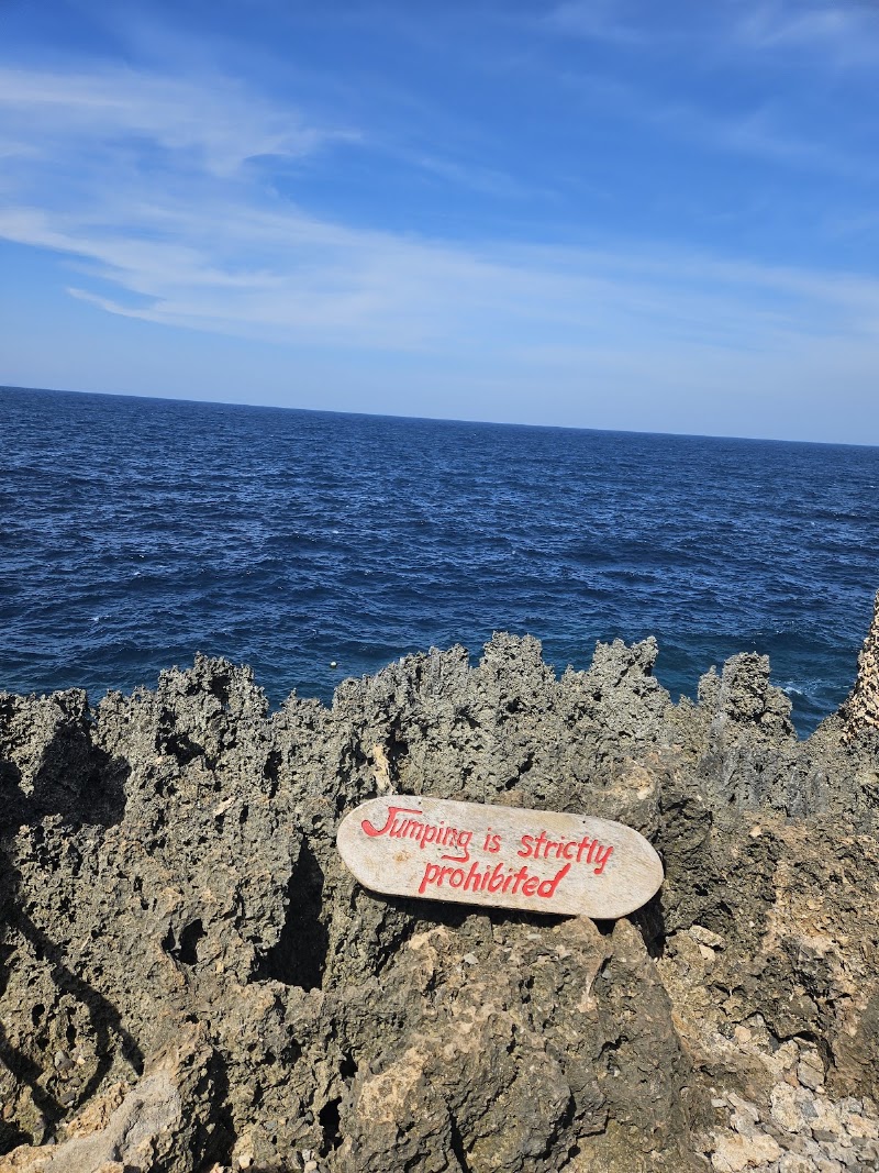 Pitogo Cliff Nature Park - Pitogo Cliff Nature Park, San Juan, Siquijor, Philippines