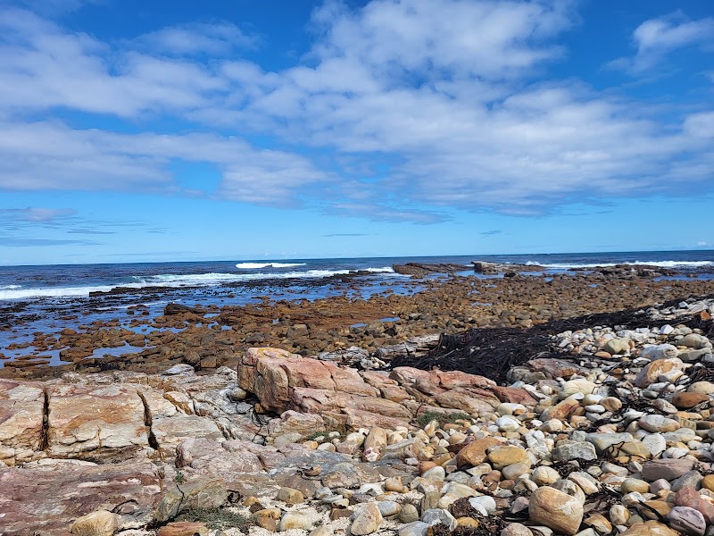 Cape Point - Cape Point, Cape Peninsula, Cape Town, South Africa