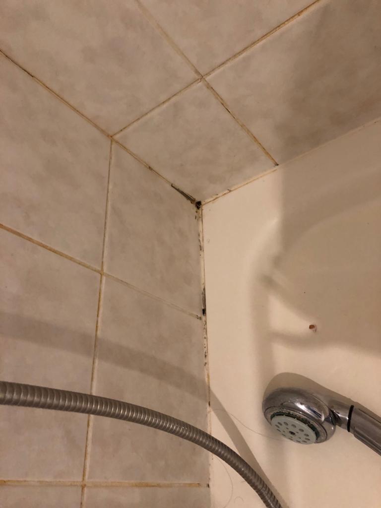 Golden Angel Apartment - Golden Angel Apartment Štefánikova 218/3, Smíchov, 150 00 Praha-Praha 5, Czechia