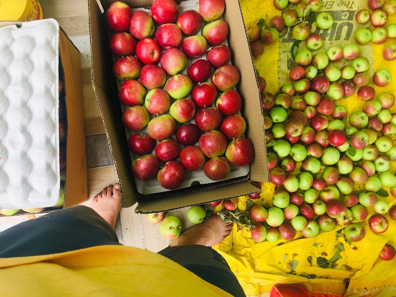 Dewa.Orchard - Dewa.Orchard, Shilawati po nishani teh, Distt, Nirmand, Sohach, Himachal Pradesh 172002, India