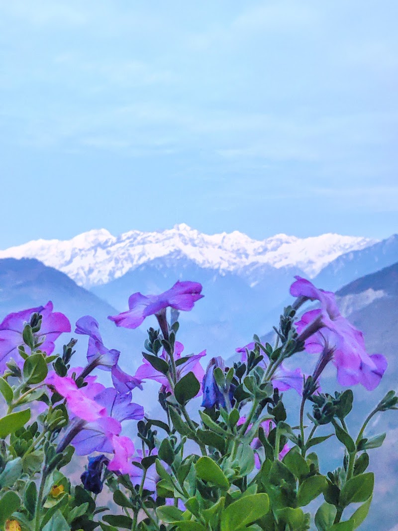 Him Darshan Homestay and resort. - Him Darshan Homestay and resort., Kanyalgaon, Khela, Suwa, Uttarakhand 262545, India