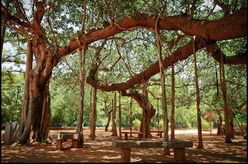 ANAELYA SERENITY BEACH HOUSE - ANAELYA SERENITY BEACH HOUSE Serinity Beach road, Puducherry, Thandirakuppam, XRCV+J4P, Kottakuppam, Puducherry, Kottakuppam, Tamil Nadu 605104, India