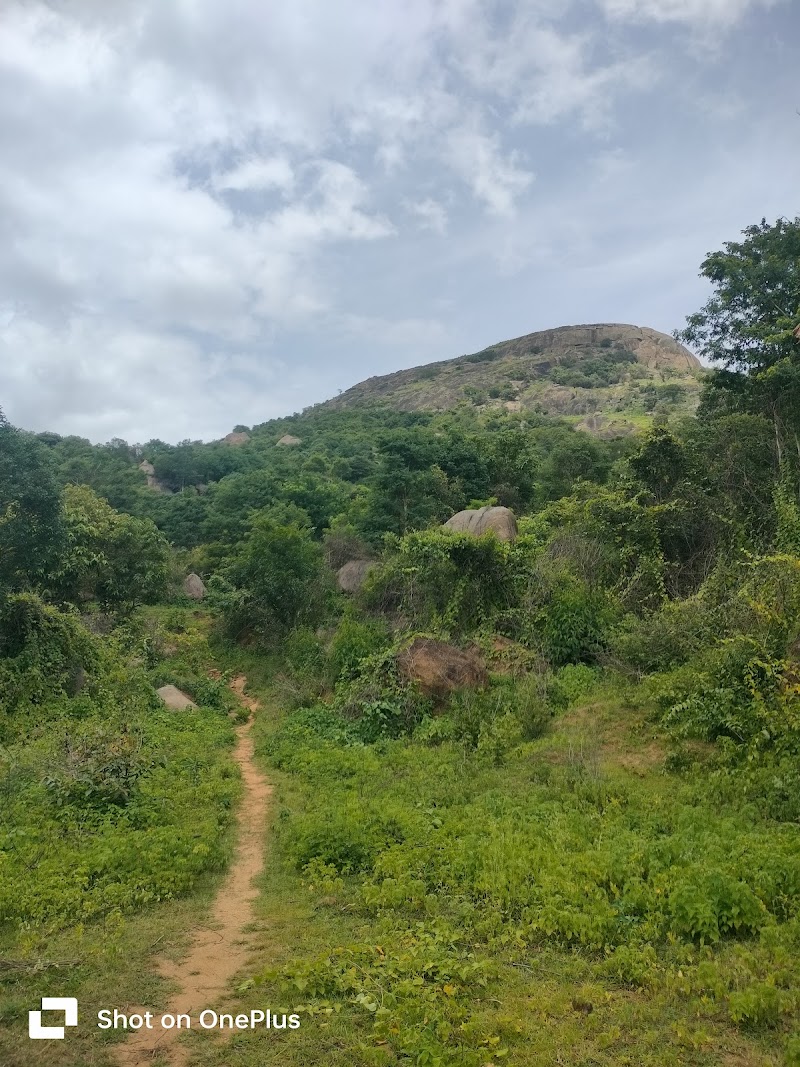 RD hills view point - RD hills view point, 85F6+HG8, Climbing Ramadevara Betta, Sri Siddaganga Kshetra, Ramadevarabetta, Karnataka 572104, India