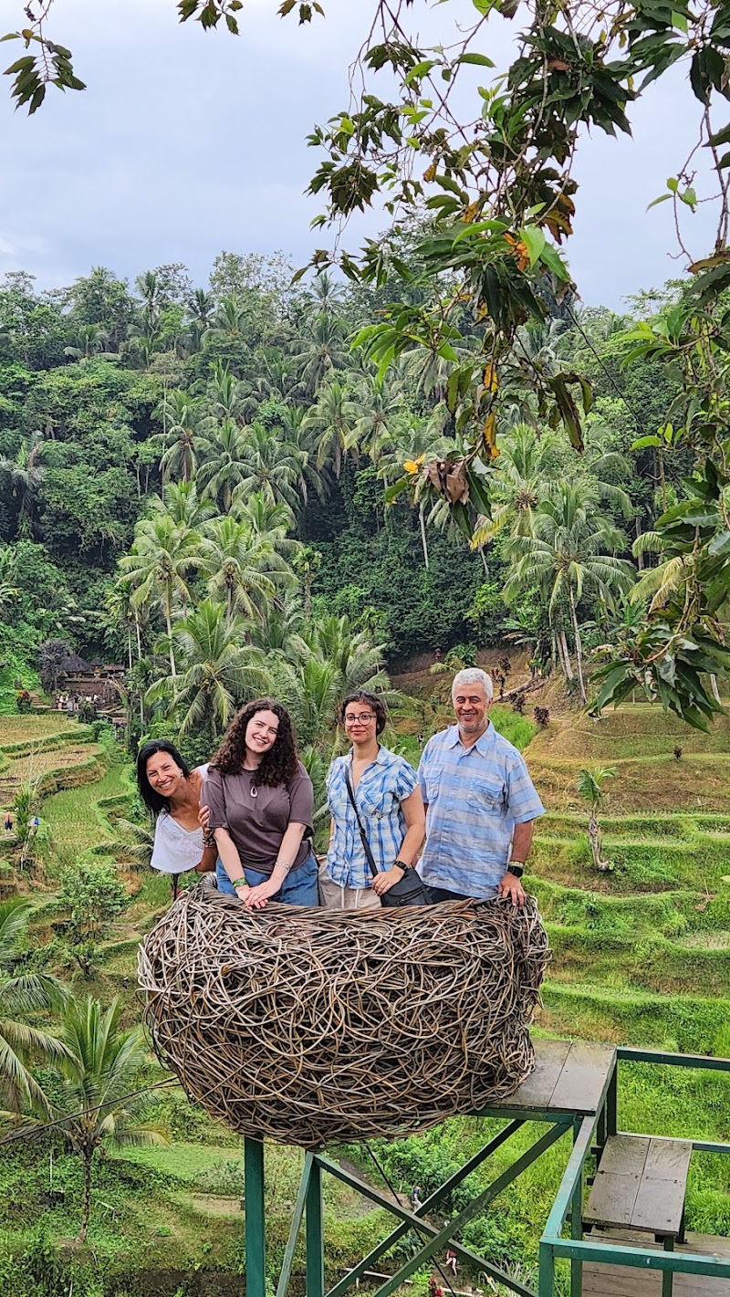 UBUD DRIVER SERVICE AND TOURS - UBUD DRIVER SERVICE AND TOURS, Gg. Anila No.24, Ubud, Kecamatan Ubud, Kabupaten Gianyar, Bali 80571, Indonesia