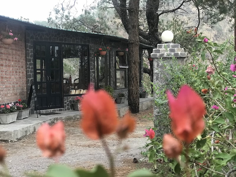 Babs' Cafe In The Woods; by advance reservation only. - Babs' Cafe In The Woods; by advance reservation only. Suriyagaon, jantwal gaon, Sattal, Bhimtal, Suriyagaon, Uttarakhand 263136, India