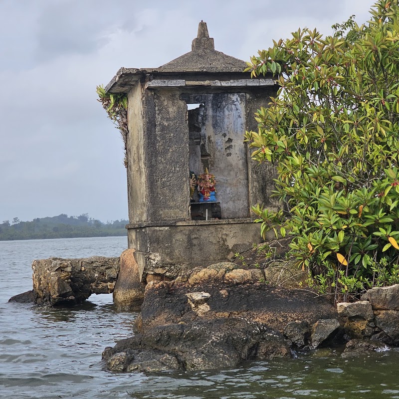 Madu River Safari මාදු ගඟේ බෝට් සෆාරි - Madu River Safari මාදු ගඟේ බෝට් සෆාරි, Near the Bridge, No.193/5 Galle Rd, Balapitiya 80550, Sri Lanka