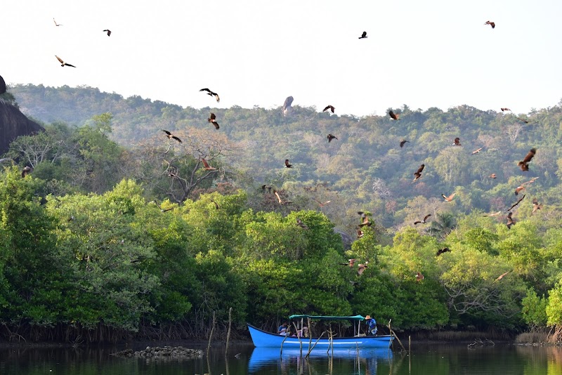 Backwaters Palolem - Backwaters Palolem Canacona, Goa 403702, India