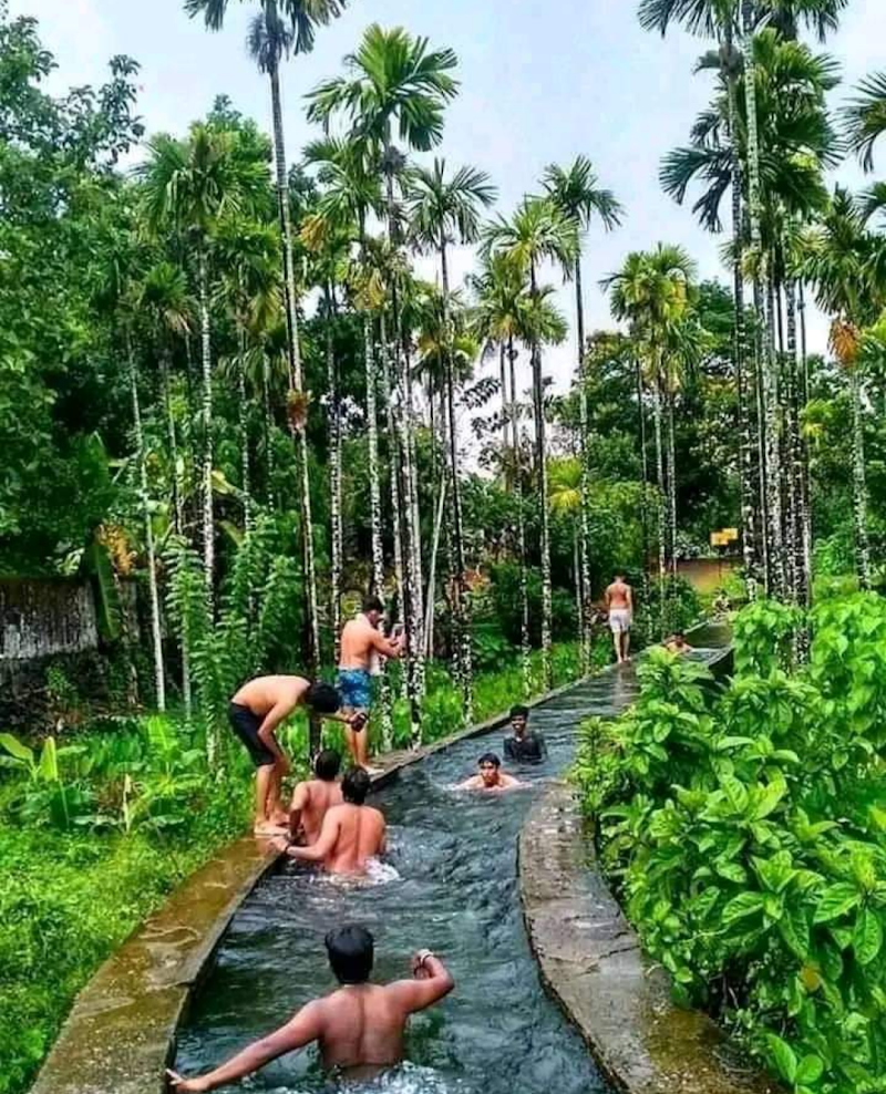 Kothamangalam - Kothamangalam, Kerala, India