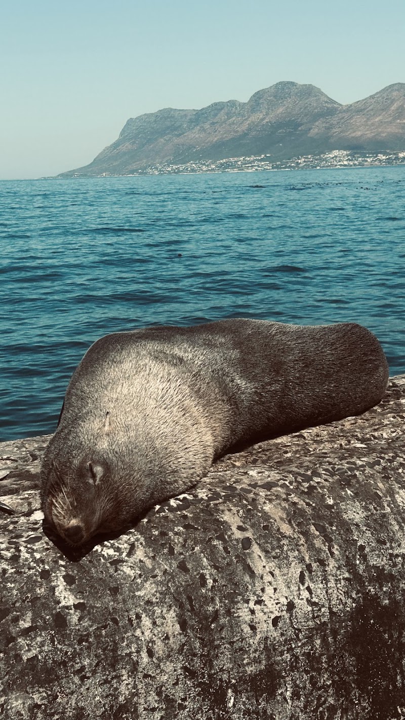 Kalk Bay Harbour - Kalk Bay Harbour, 167-181 M4, Fish Hoek, Cape Town, 7990, South Africa