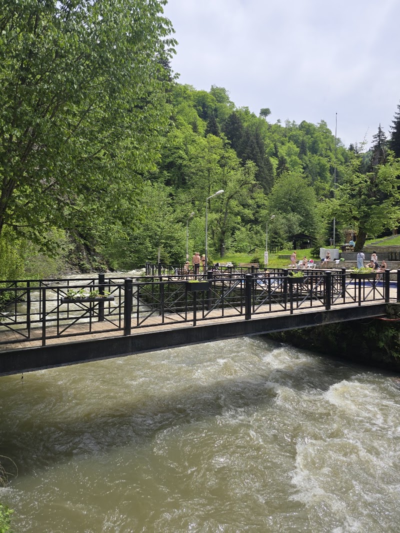 Borjomi Sulfur Pools - Borjomi Sulfur Pools, 9 ბარათაშვილის ქუჩა, Borjomi 1200, Georgia