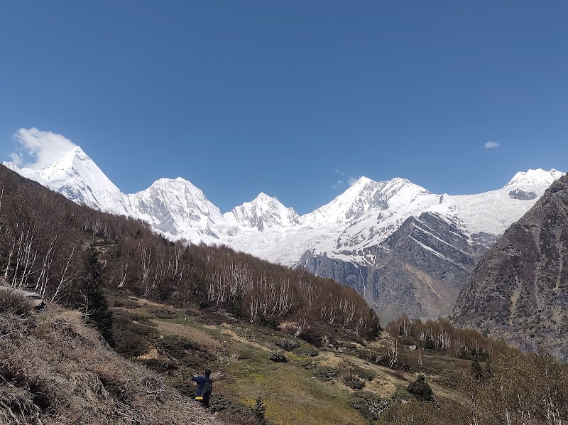 panchachuli base camp - panchachuli base camp, 6GRG+R3C, Sobala R.F., Uttarakhand 262545, India