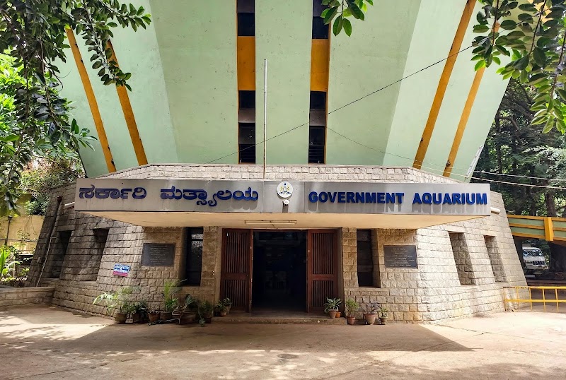 Namma Bengaluru Aquarium - Namma Bengaluru Aquarium Kasturba Rd, Shanthala Nagar, Bengaluru, Karnataka 560001, India