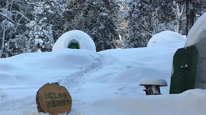 Igloo Hamta (igloo stay)