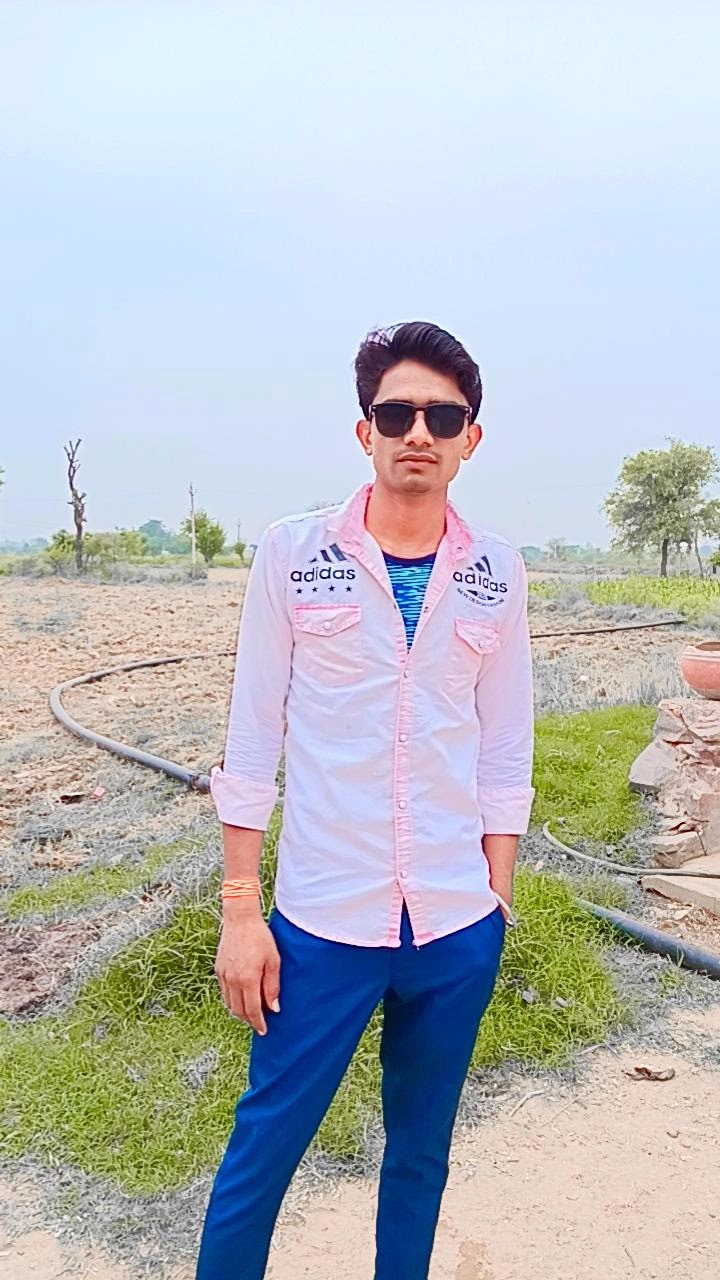 Tijara fort view farms - Tijara fort view farms WVGQ+5G, Ladhawara, Rajasthan 301411, India