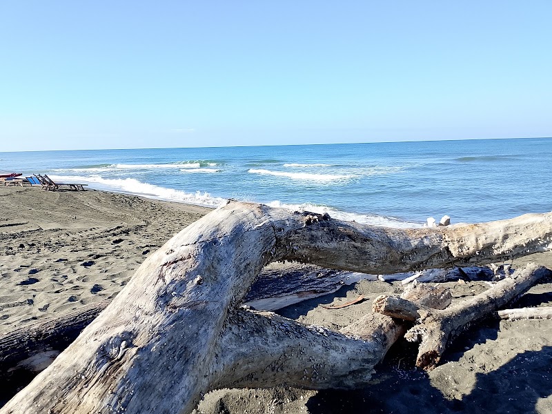 Il Pellicano Fregene - Ristorante Stabilimento Balneari Bar Tabacchi - Il Pellicano Fregene - Ristorante Stabilimento Balneari Bar Tabacchi, Lungomare di Ponente, 53, 00054 Fregene RM, Italy