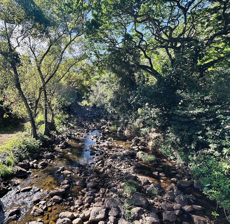 Waimea Valley - Waimea Valley, 59-864 Kamehameha Hwy, Haleiwa, HI 96712, USA