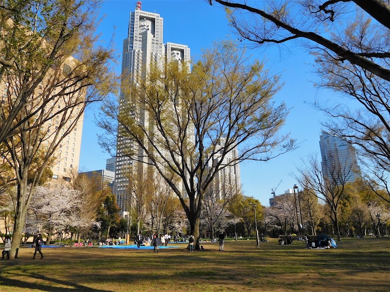 Shinjuku Chūō Park - Shinjuku Chūō Park 2 Chome-11 Nishishinjuku, Shinjuku City, Tokyo 160-0023, Japan
