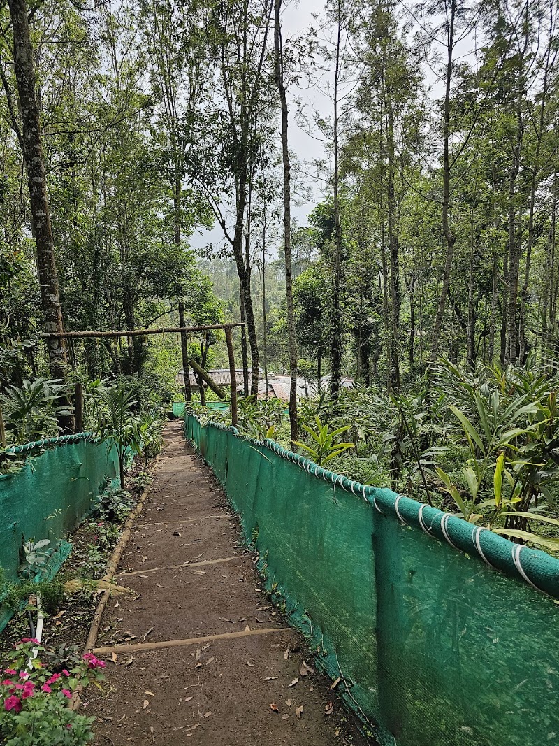Spice Stays - Camping, Trekking, Kolukkumalai Jeep Safari & Sunrise - Spice Stays - Camping, Trekking, Kolukkumalai Jeep Safari & Sunrise, Bodimethu - Suryanallei Rd, Muthuvan Kudi, Suryanelli, Kerala 685618, India