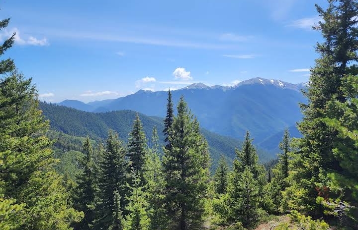 Olympic National Park - Olympic National Park, 3002 Mt Angeles Rd, Port Angeles, WA 98362, USA