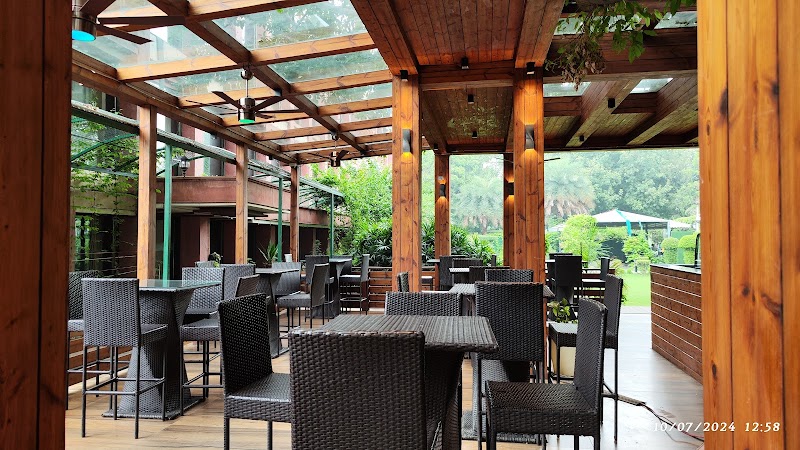 Cine Tree Cafe