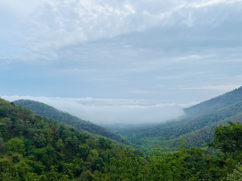 K Gudi. - K Gudi., W43C+GVW, B.R.Hills, Karnataka 571342, India