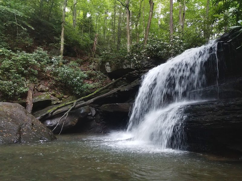 Ohiopyle State Park - Ohiopyle State Park, 124 Main St, Ohiopyle, PA 15470, USA