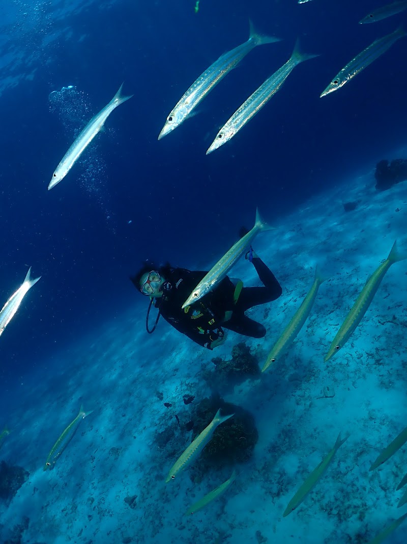 Phuket Dive Center - Phuket Dive Center เลขที่ 3 หมู่ 8 Thanon Chao Fah Tawan Tok, Tambon Chalong, Amphoe Mueang Phuket, Chang Wat Phuket 83130, Thailand