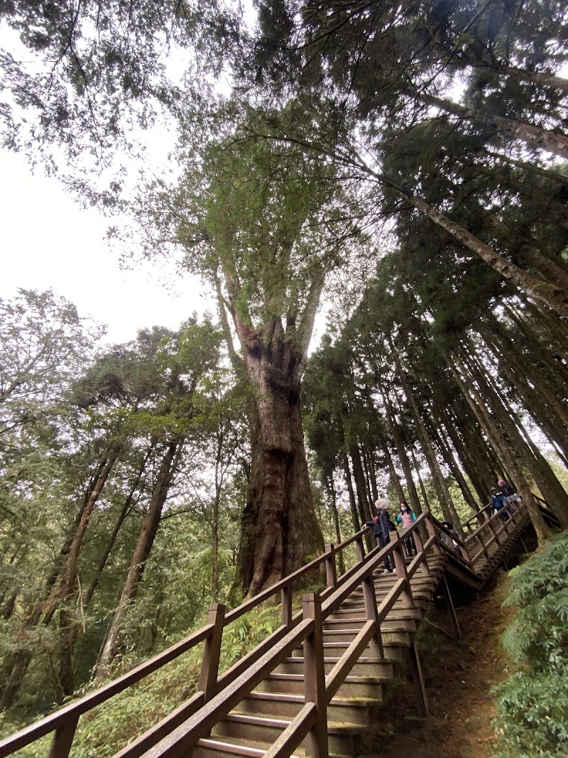 神怡流瀑 - 神怡流瀑 605, Taiwan, Chiayi County, Alishan Township, Zhongshan Village, 23°31'07. 120°48'23號