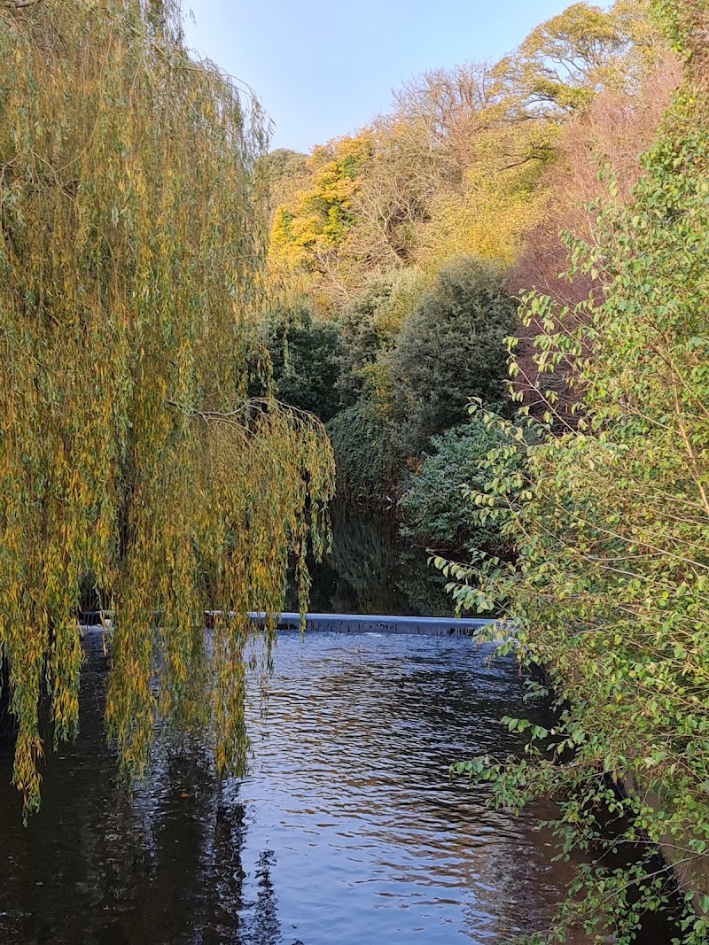 Dartry Park - Dartry Park 54 14 Orwell Gardens, Rathmines Great, Dublin, D14 PT93, Ireland