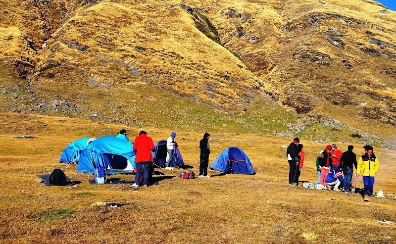 Track to Khalia Top - Track to Khalia Top Track to Khalia Top, Uttarakhand 262554, India