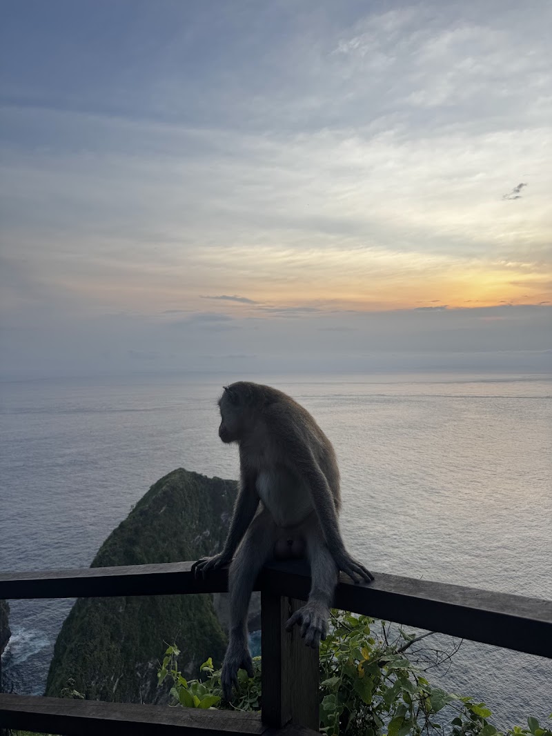 Kelingking sunset view point - Kelingking sunset view point, 6FWG+CQ2, Bunga Mekar, Nusa Penida, Klungkung Regency, Bali 80771, Indonesia
