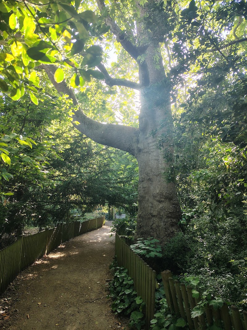 Old English Garden - Old English Garden, London SW11 4NJ, UK