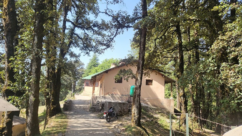 Deoban Forest Rest House - Deoban Forest Rest House, PVX8+6G7, Jadi, Uttarakhand 248123, India