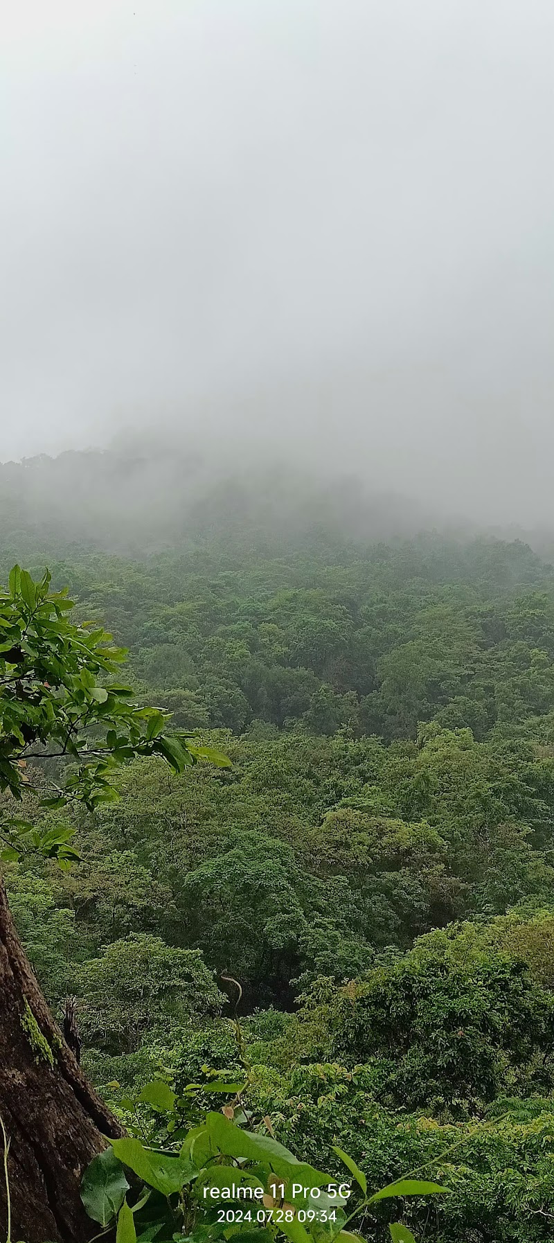 Tungareshwar Waterfalls - Tungareshwar Waterfalls CW93+68F, Tungareshwar Rd, Sativali, Vasai-Virar, Maharashtra 401303, India