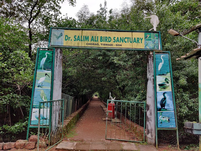 Dr. Salim Ali Bird Sanctuary