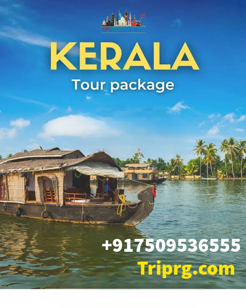 RG TRIP AND HOLIDAYS - RG TRIP AND HOLIDAYS, 9 TO 16, D-Pocket, Maroda Sector, Bhilai, Chhattisgarh 490006, India
