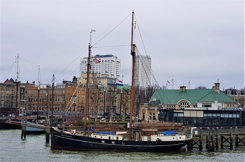 Nieuwe Maas - Nieuwe Maas, Netherlands