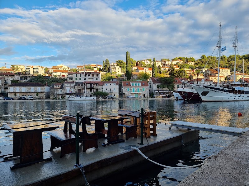 Dalmatian coastal - Dalmatian coastal, Croatia
